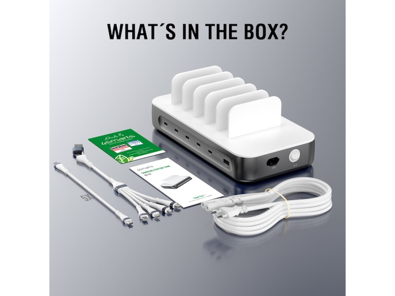 4smarts Team 100W Ladestasjon (stellargrå) Ladestasjon