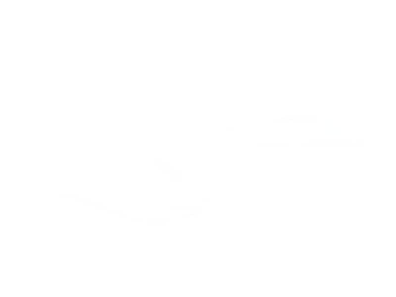 Pulsar X2 CrazyLight Trådløs Gamingmus (Aqua Zest) -B-Grade Demo mus