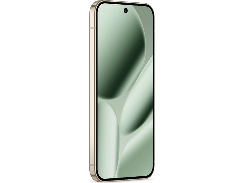 Google Pixel 10 Pro XL 256GB (jade) -B-Grade Demo mobiltelefoner