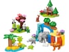 LEGO DUPLO Town 3-i-1 ville dyrefamilier 10446 LEGO