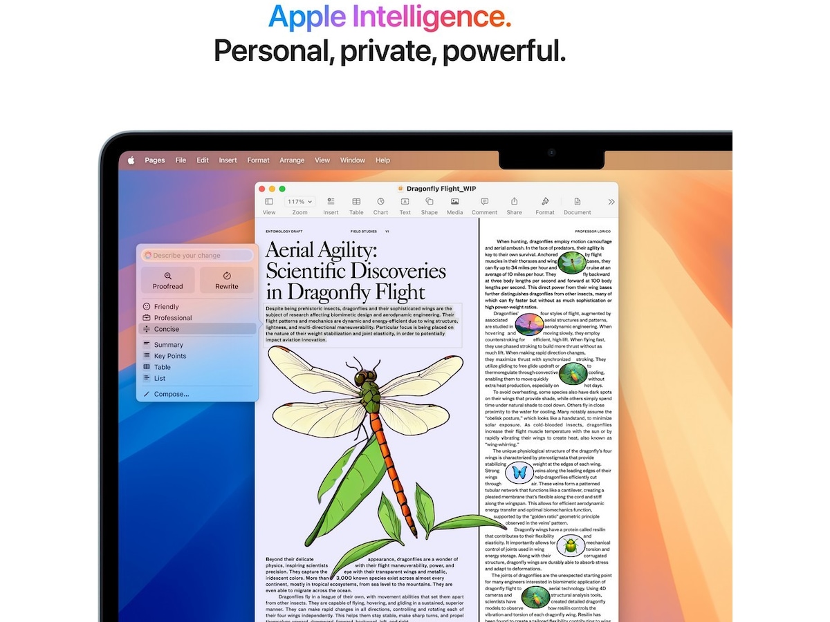 MacBook Air 13" M4 (2025) 512GB (himmelblå) PC - Bærbar / laptop