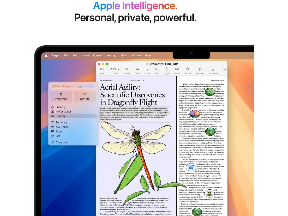 MacBook Air 13" M4 (2025) 256GB (midnatt) PC - Bærbar / laptop