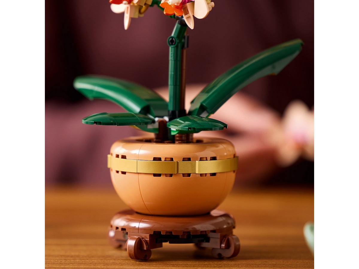LEGO Botanicals miniatyrorkidé 10343 LEGO