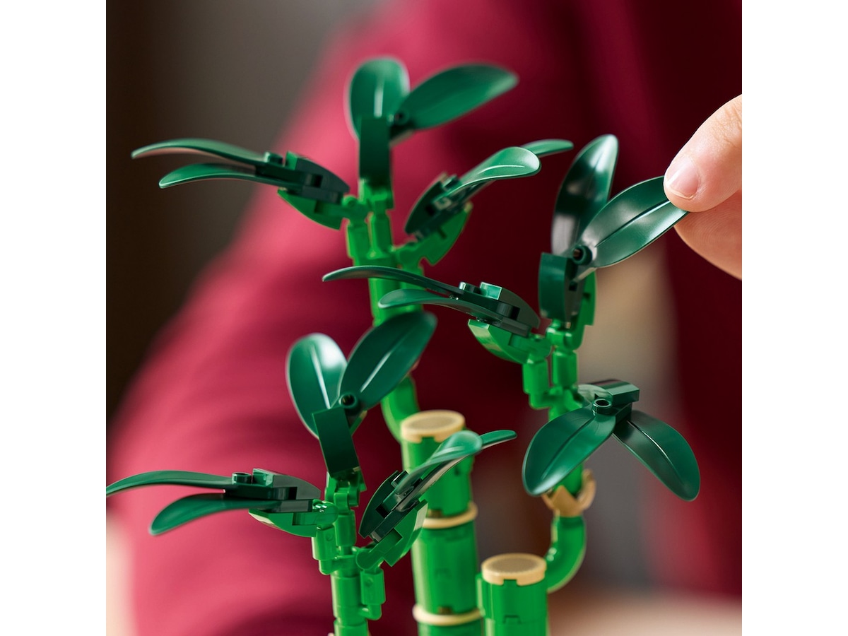 LEGO Botanicals Lykkebambus 10344 LEGO