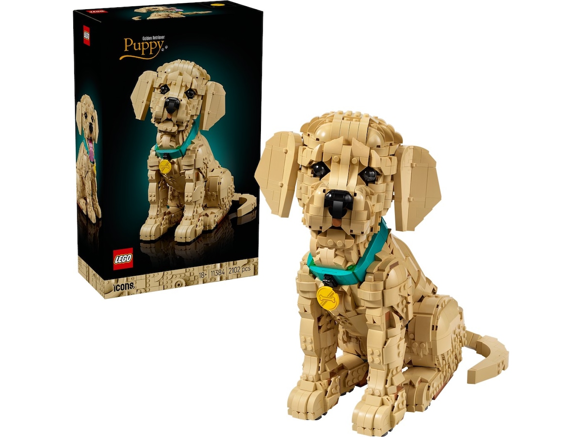 LEGO Icons Golden retriever-valp 11384 LEGO