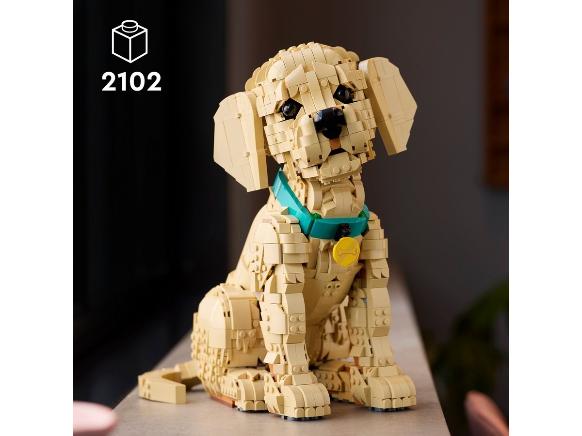 LEGO Icons Golden retriever-valp 11384 LEGO