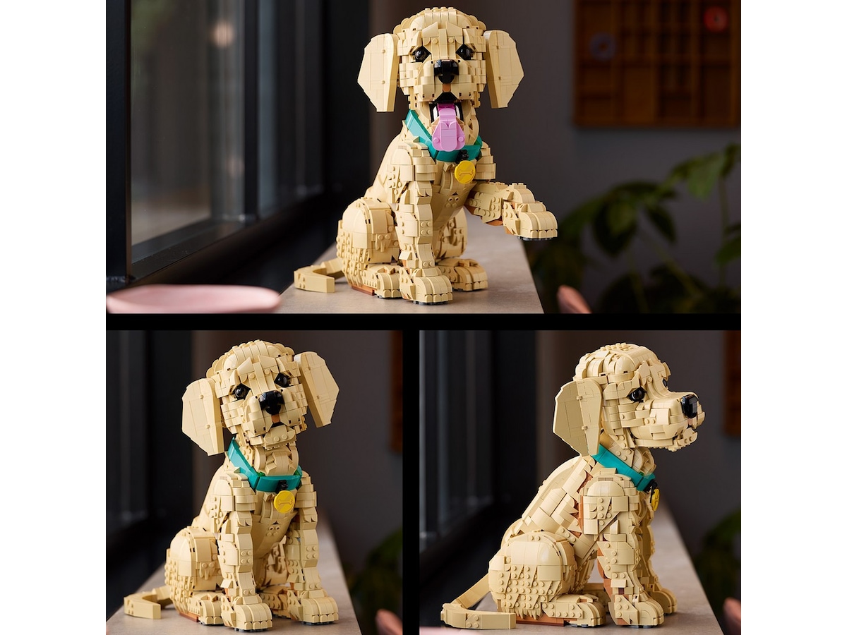 LEGO Icons Golden retriever-valp 11384 LEGO