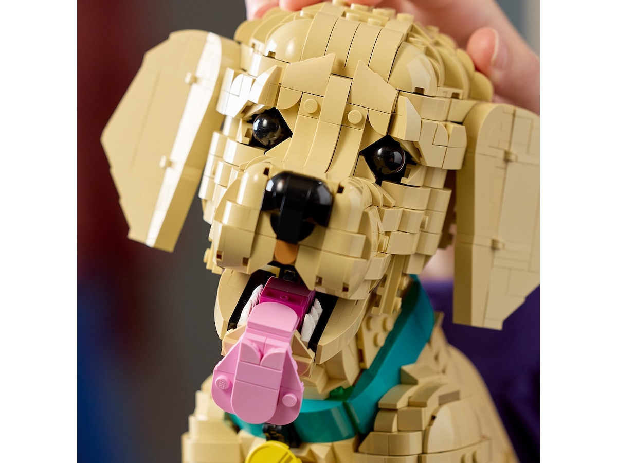 LEGO Icons Golden retriever-valp 11384 LEGO