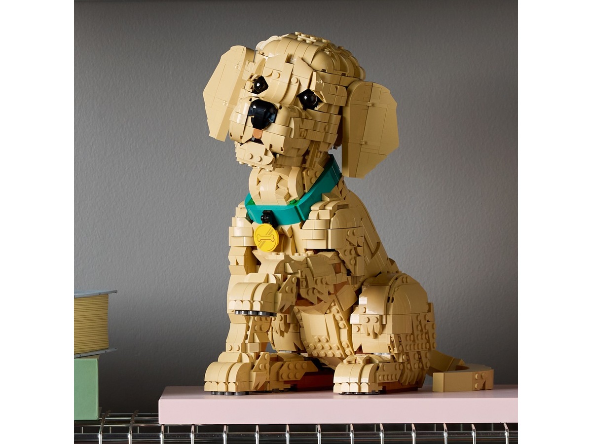 LEGO Icons Golden retriever-valp 11384 LEGO