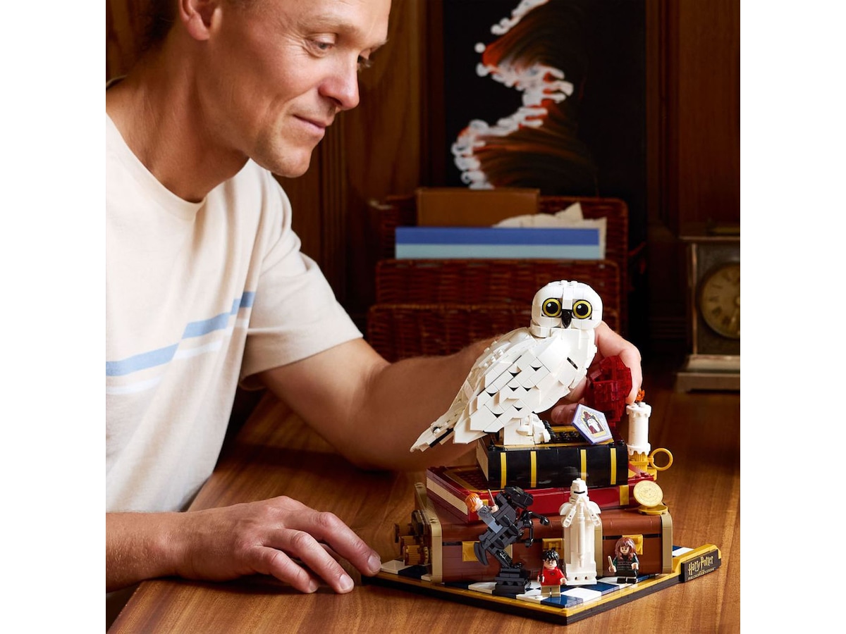 LEGO Harry Potter de vises stein – samlerutgave 76466 LEGO