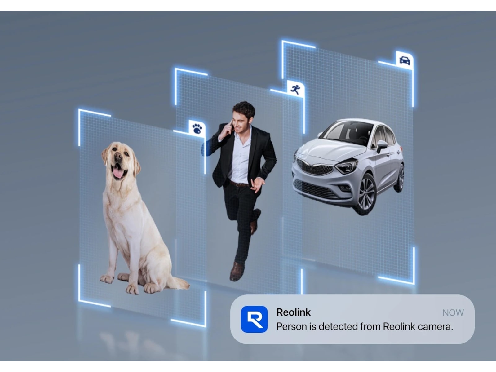 Reolink NVS8-5MD4 overvåkningssystem Overvåkningskameraer