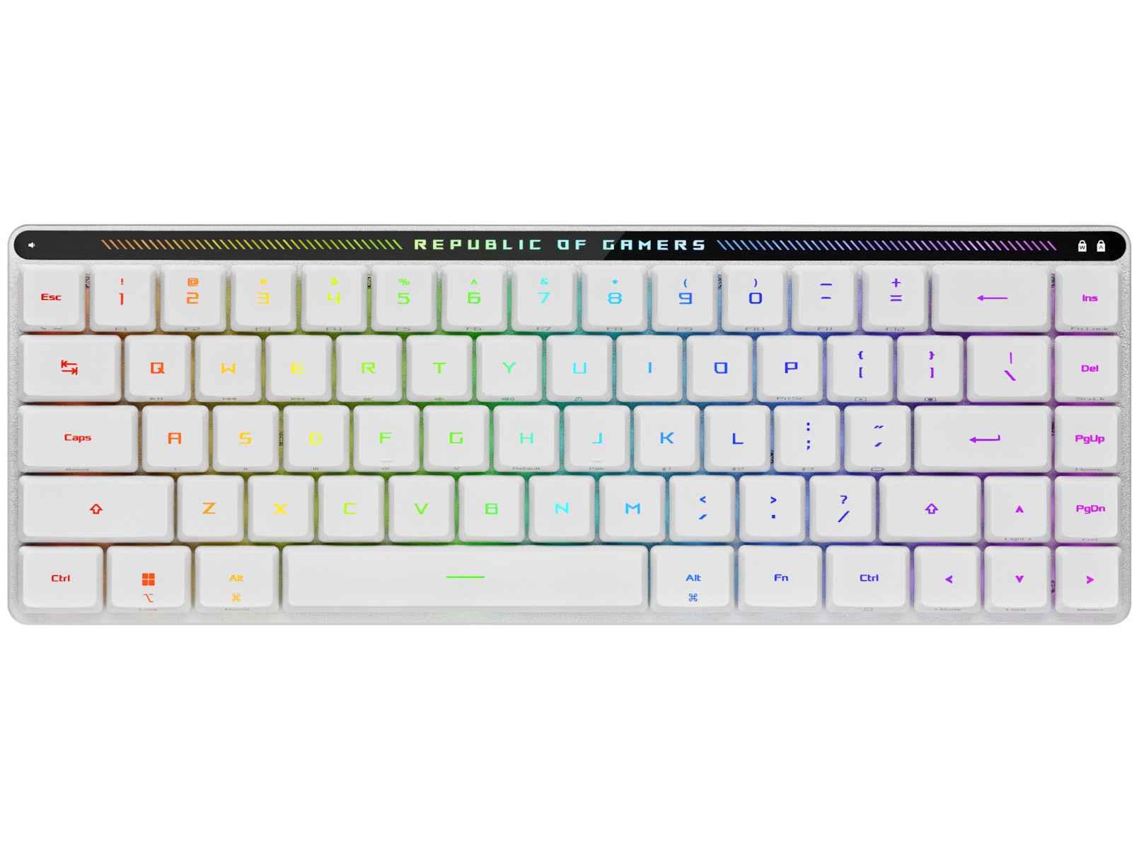 ASUS ROG Falchion RX Low Profile Optical trådløst gamingtastatur(hvit) Gamingtastatur