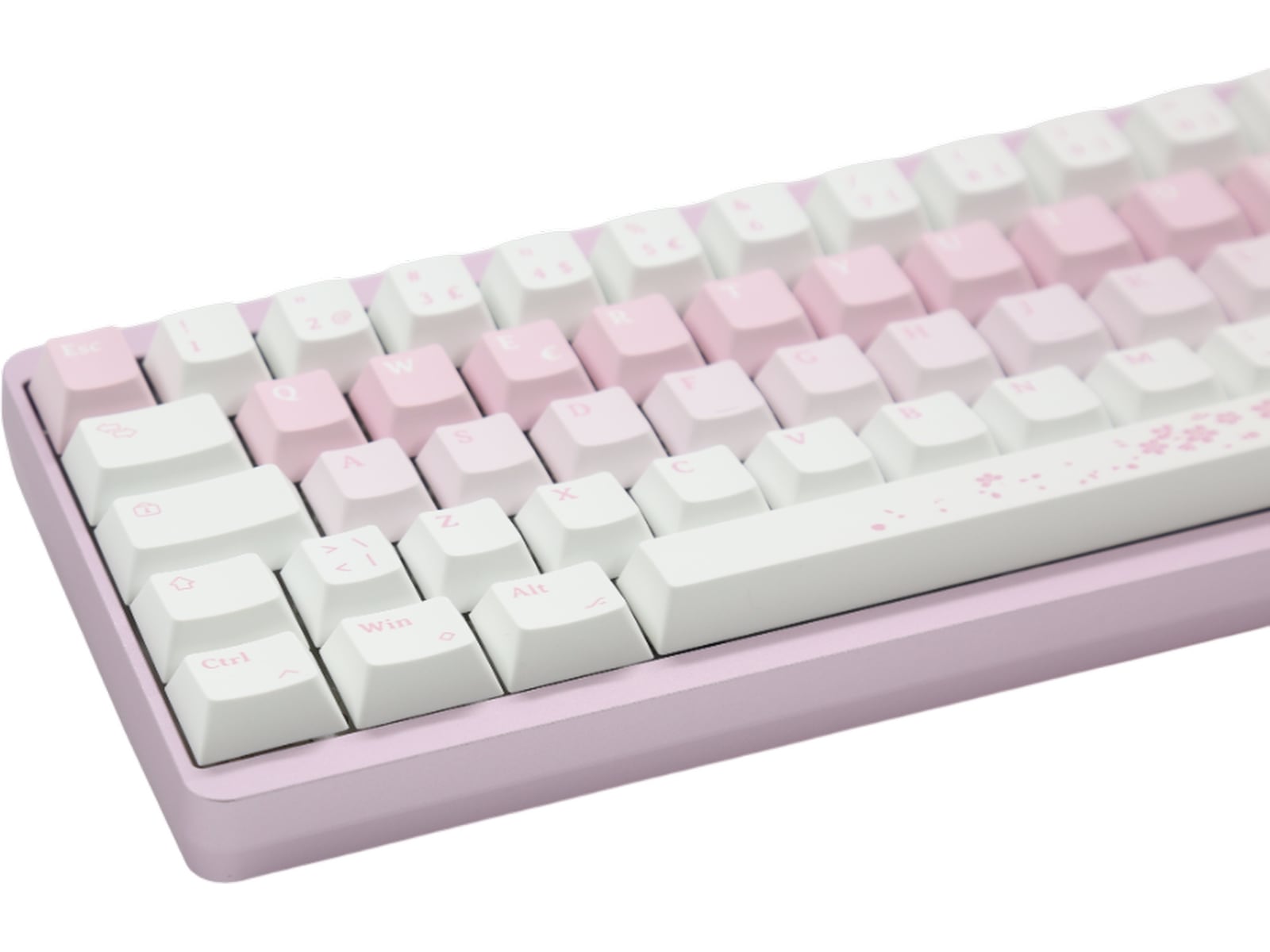 Varmilo Muse65 HE Sakura gamingtastatur 65% Gamingtastatur