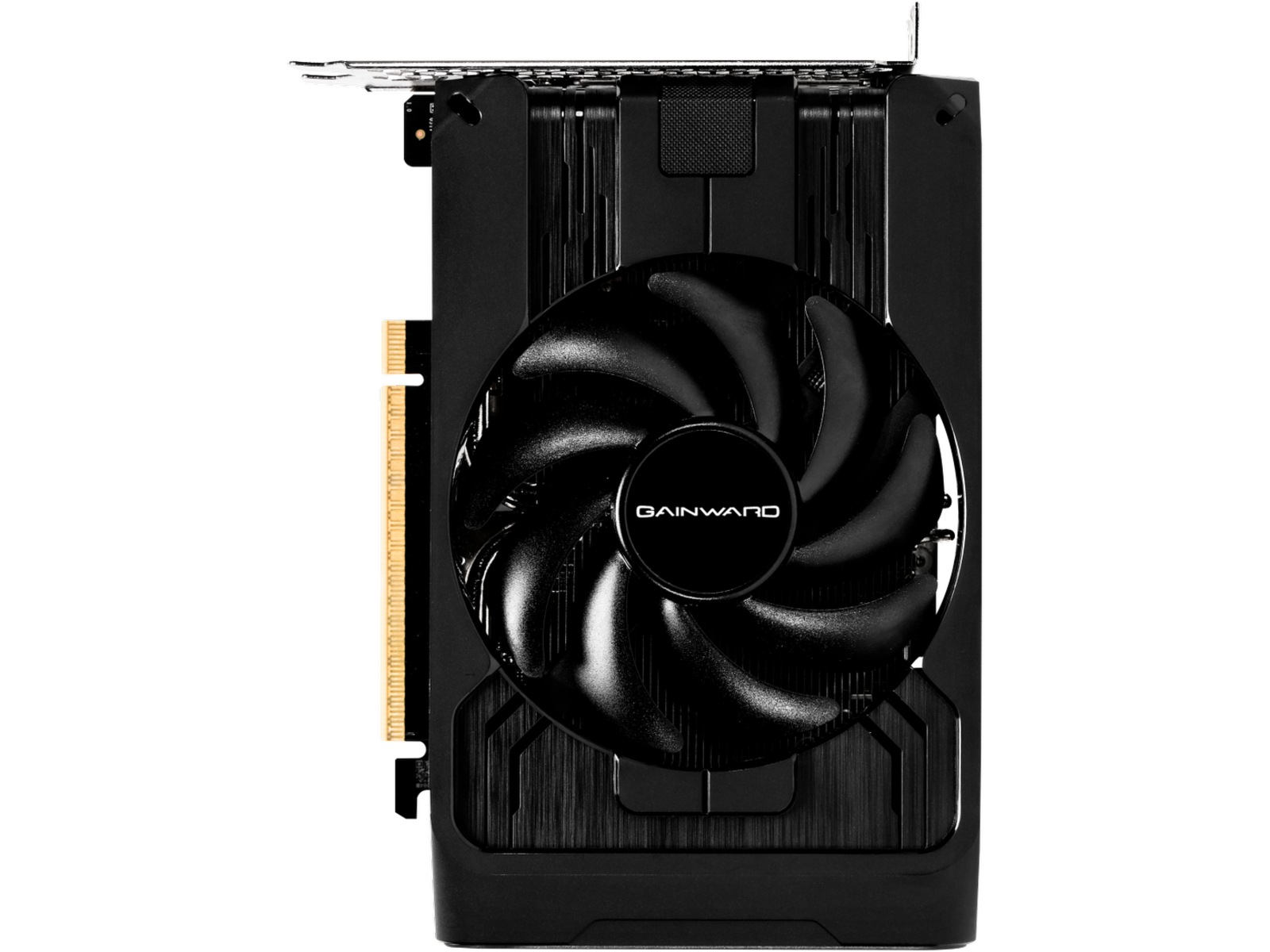 Gainward GeForce RTX 5050 Pegasus Skjermkort