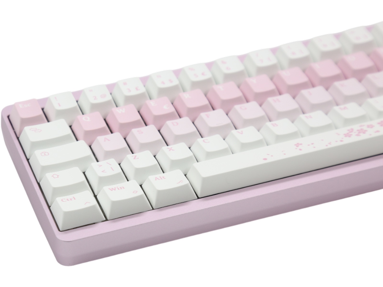 Varmilo Muse65 HE Sakura gamingtastatur 65% -B-Grade Demo tastatur
