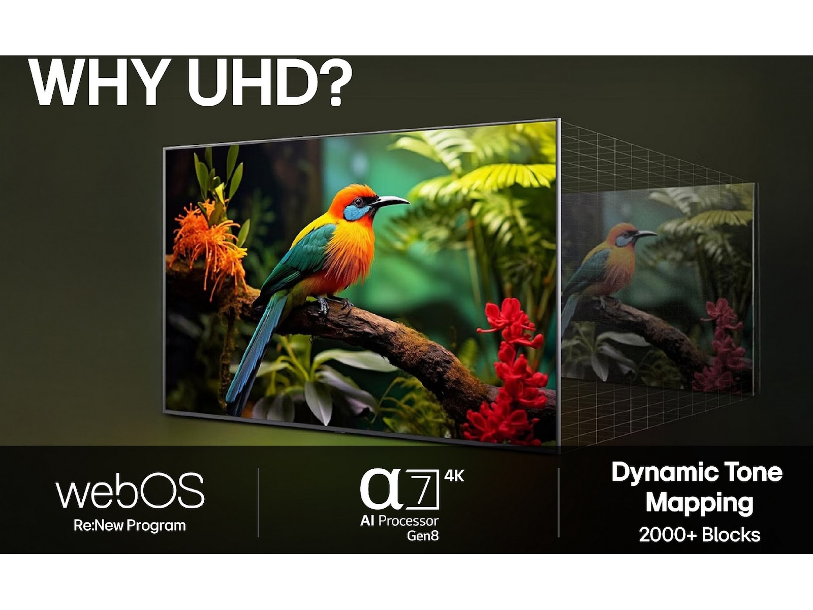 LG 86'' UA75 AI 4k Smart TV (2025) + NS60 lydplanke Over 80 tommer TV