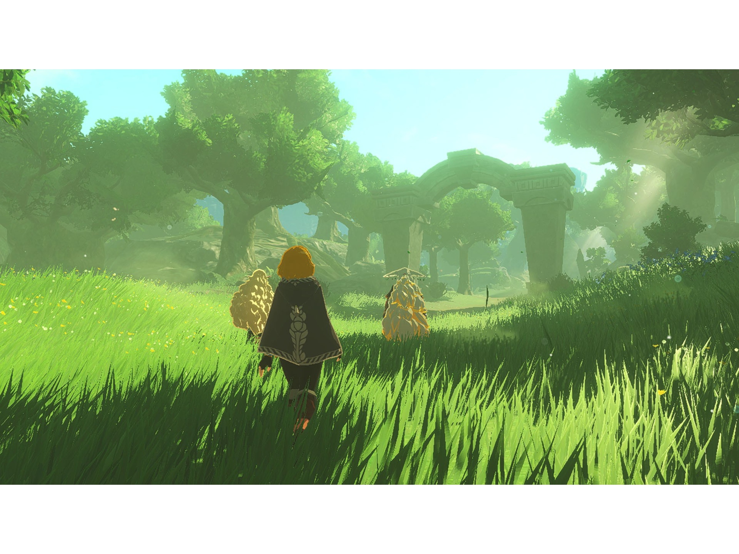 Hyrule Warriors: Age of Imprisonment Switch 2 Spill til Nintendo Switch 2