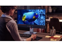 Lenovo 34" skjerm ThinkVision P34WD-40 Skjermer
