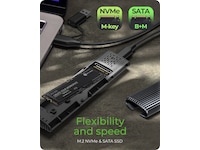 Icy Box M.2 NVMe & SATA M.2 SSD kabinett Eksterne kabinetter