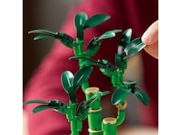 LEGO Botanicals Lykkebambus 10344 LEGO