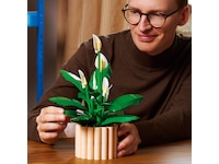 LEGO Botanicals fredslilje 11504 LEGO