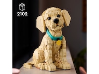LEGO Icons Golden retriever-valp 11384 LEGO