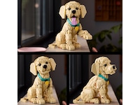 LEGO Icons Golden retriever-valp 11384 LEGO