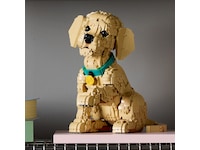LEGO Icons Golden retriever-valp 11384 LEGO