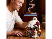 LEGO Harry Potter de vises stein – samlerutgave 76466 LEGO