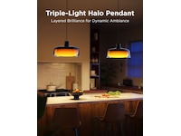 Govee Pendant Light smart taklampe Taklampe