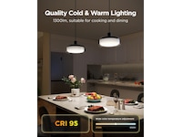 Govee Pendant Light smart taklampe Taklampe