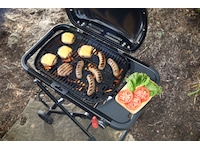 Weber Traveler Compact gassgrill  -B-Grade Demo hjem & fritid