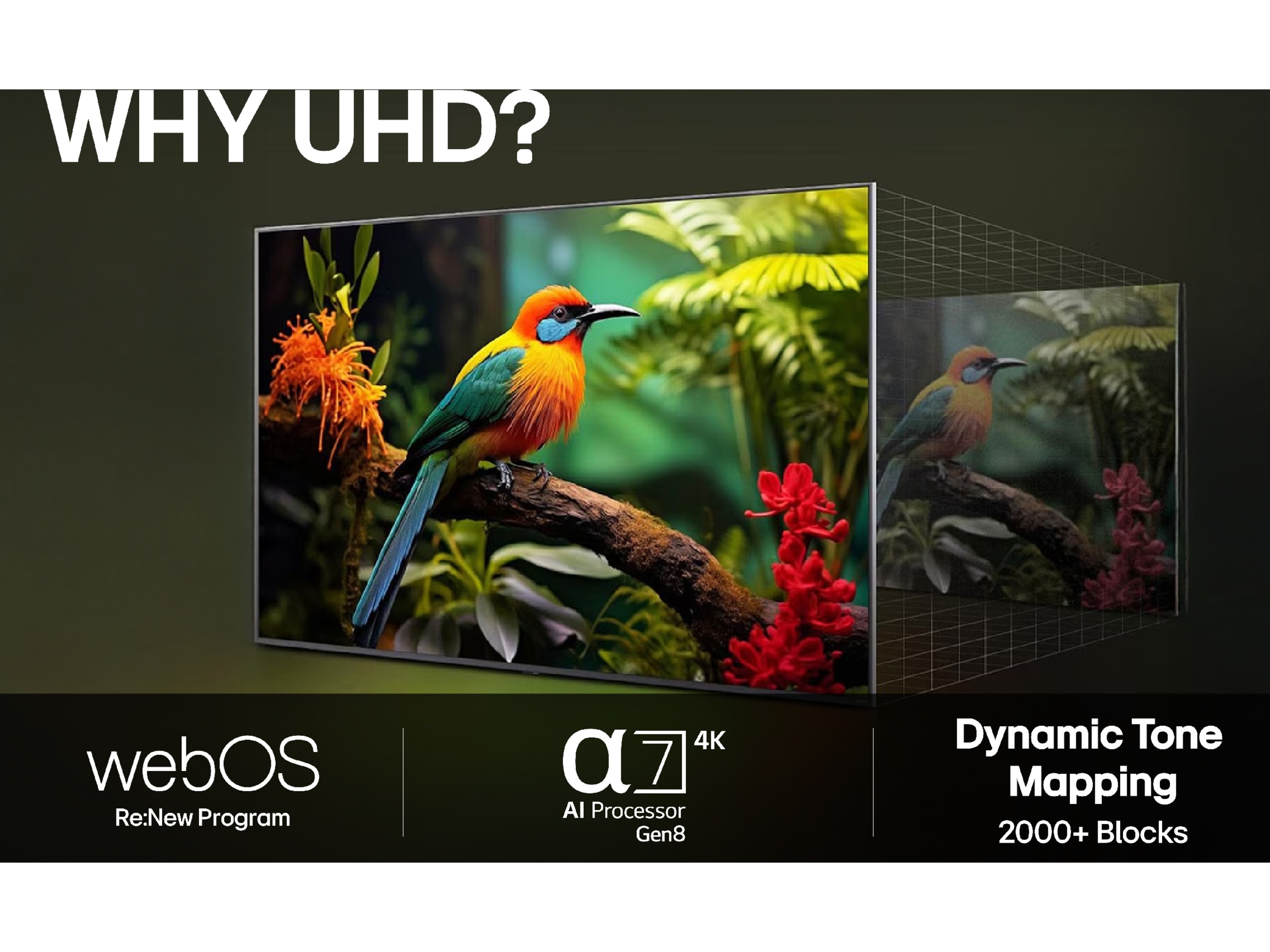 LG UA75 smart-TV 75'' AI 4K (2025) -B-Grade Demo TV/projektor