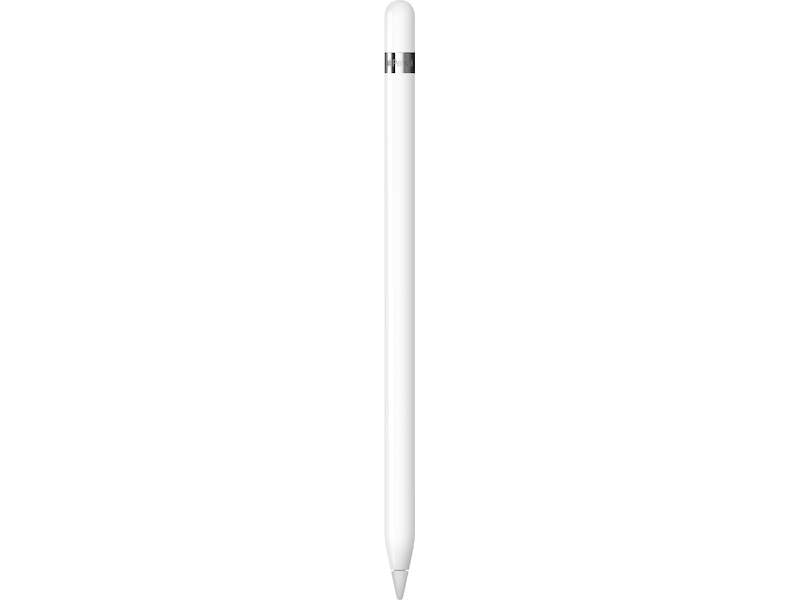 Apple Pencil USB-C (hvit) Tastatur og stylus
