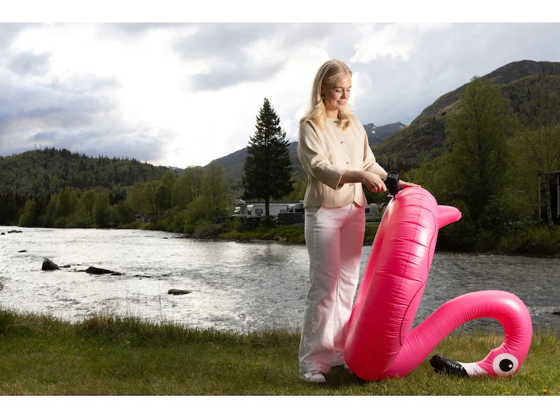 Hedgehog TurboVAC trådløs støvsuger (sort) Trådløse støvsugere