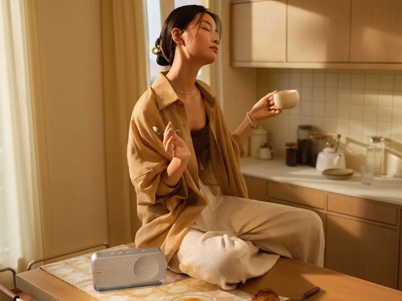 Bose SoundLink Home trådløs Bluetooth-høyttaler (lys sølv) Trådløs / Bluetooth-høyttaler