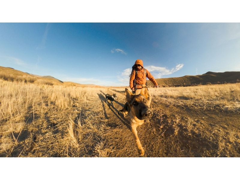 GoPro MAX2 + tilbehørspakke Actionkamera