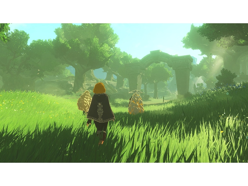 Hyrule Warriors: Age of Imprisonment Switch 2 Spill til Nintendo Switch 2