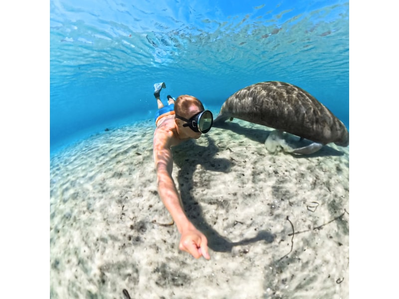 Insta360 X5 Invisible Dive Case Tilbehørssett til kamera