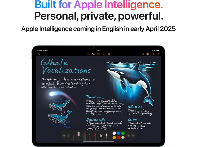 iPad Air 13" (2025) 512GB WiFi (stellargrå) -B-Grade Demo annet i PC & nettbrett