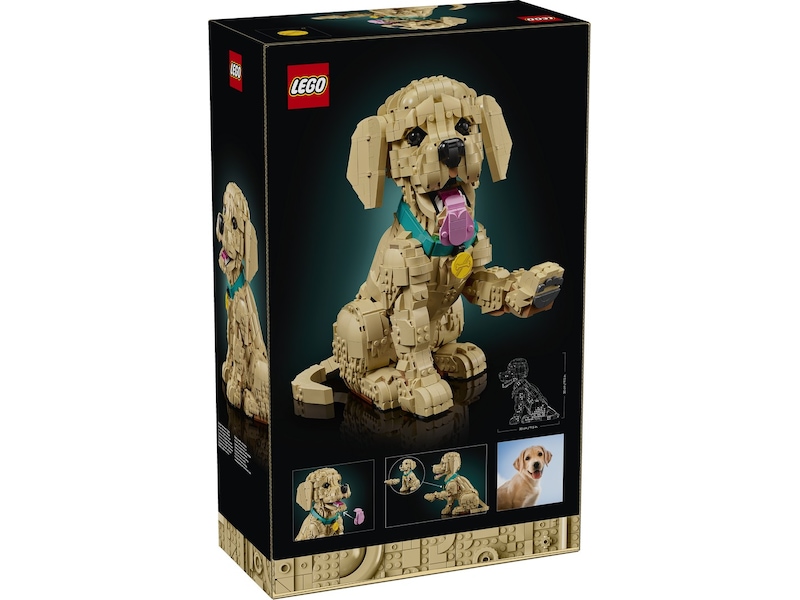 LEGO Icons Golden retriever-valp 11384 LEGO