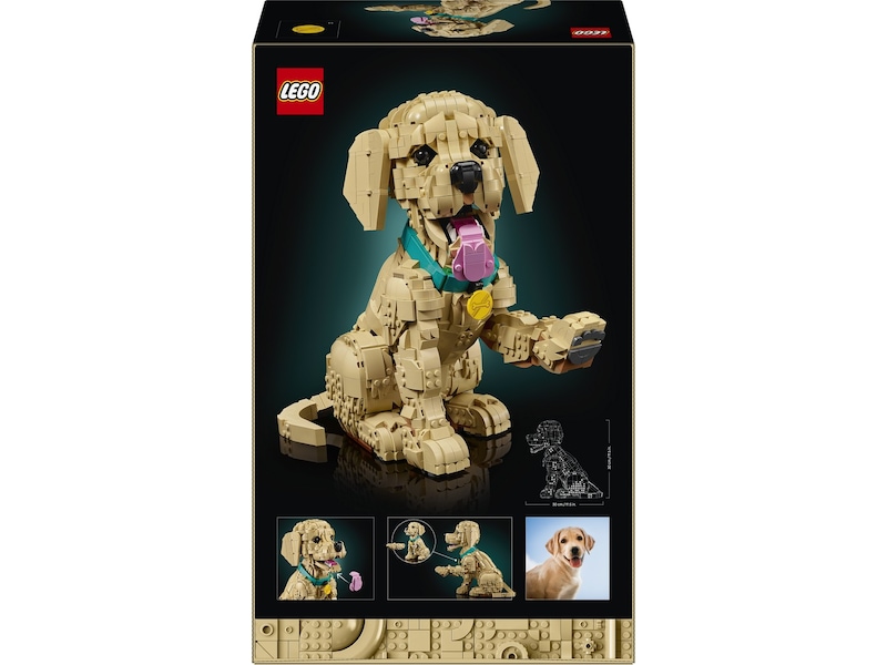 LEGO Icons Golden retriever-valp 11384 LEGO