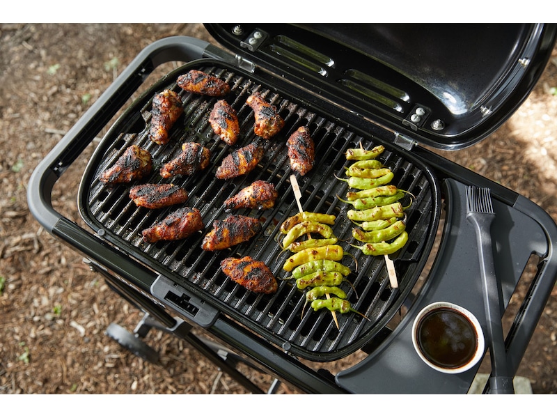 Weber Traveler Compact gassgrill  Grill