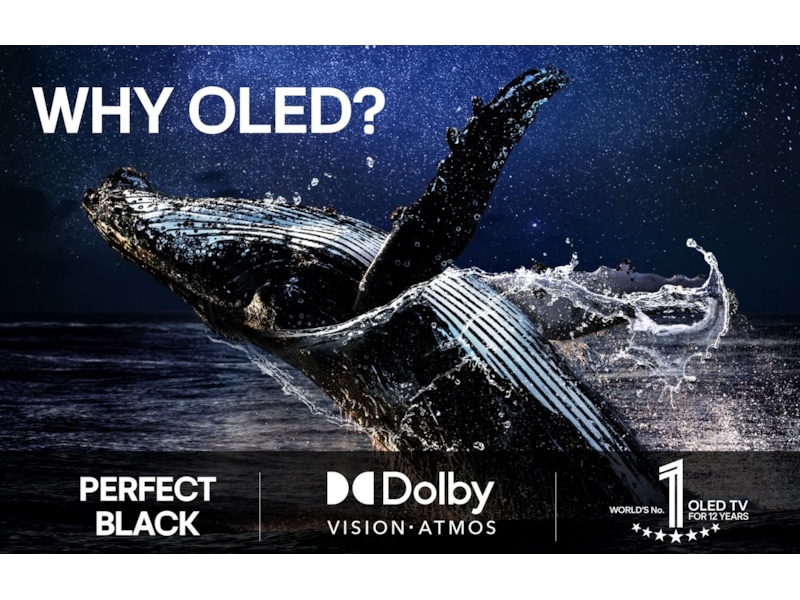 LG 65" C5 AI 4K OLED smart-TV (2025) -B-Grade Demo TV/projektor