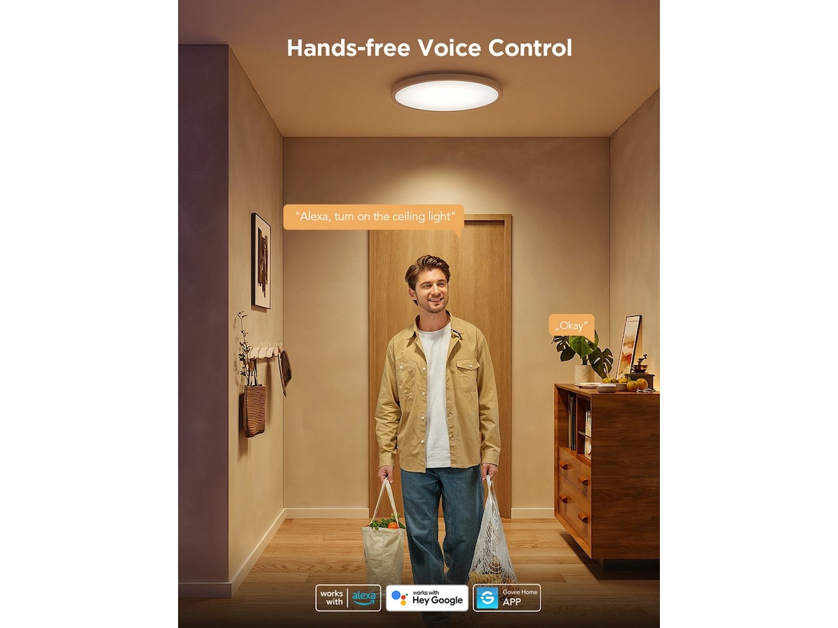 Govee Rund Smart Taklampe 30cm Taklampe