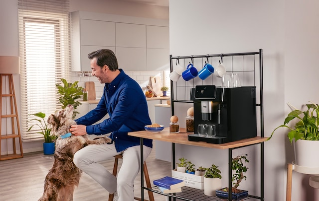 Beko Feature image Beko Feature image