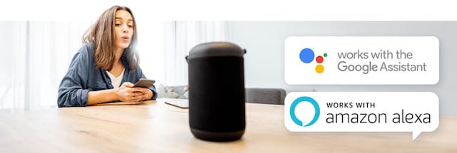 Talestyring Talestyring