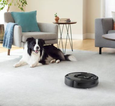 Ideell til hjem med kjæledyr