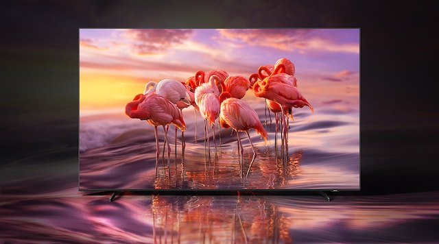 Samsung 4K QLED TV