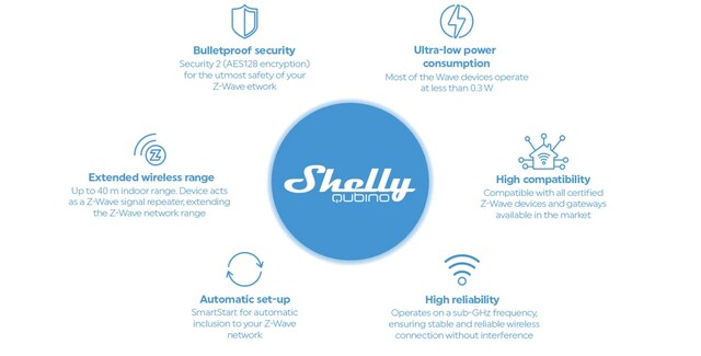 Shelly Qubino 1 Shelly Qubino 1